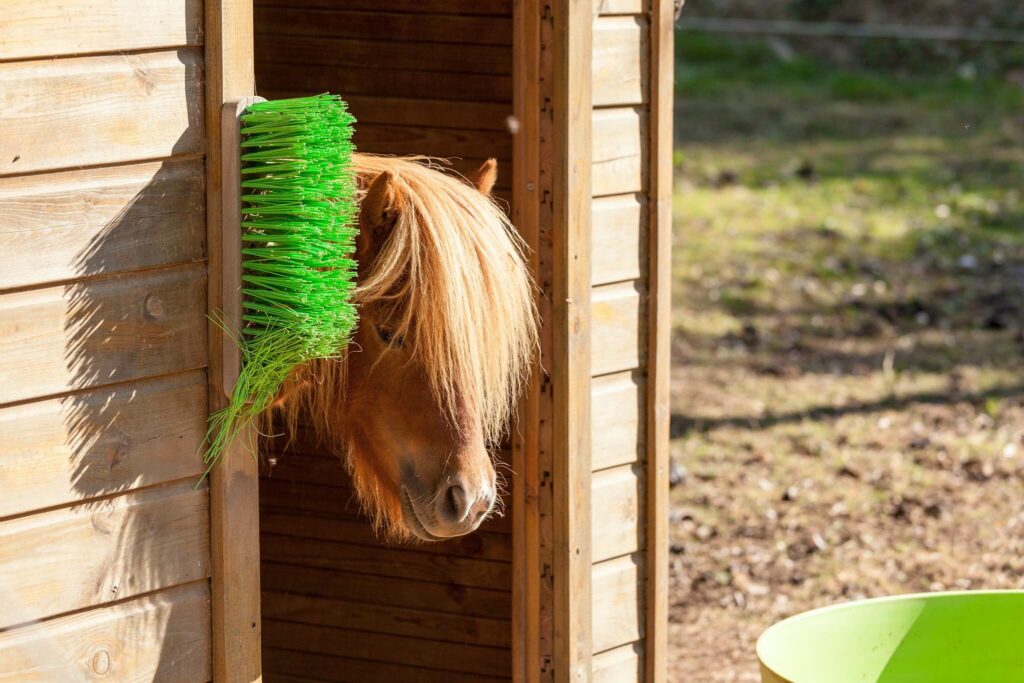 poney club au camping la Vallée