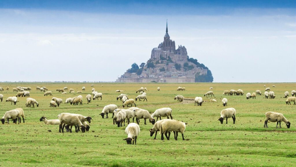 le mont saint michel